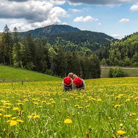 Im Gaessle, Kirchzarten, Dreisamtal Holiday home *